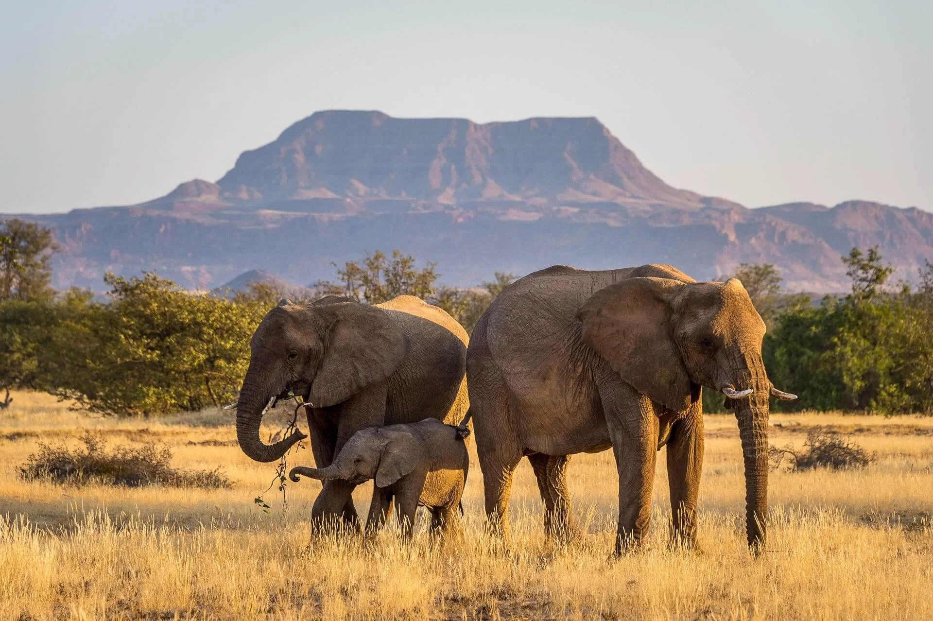 Luxury Namibia Safari Experience — Sundowner Safaris